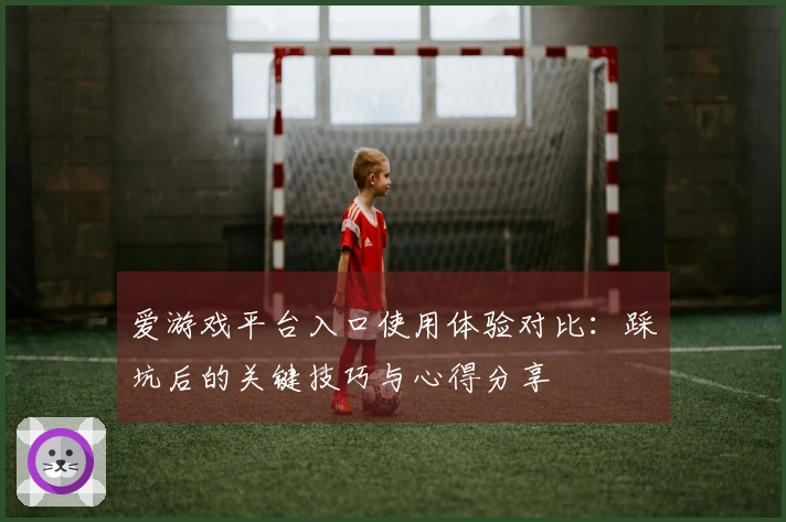 爱游戏平台入口使用体验对比：踩坑后的关键技巧与心得分享