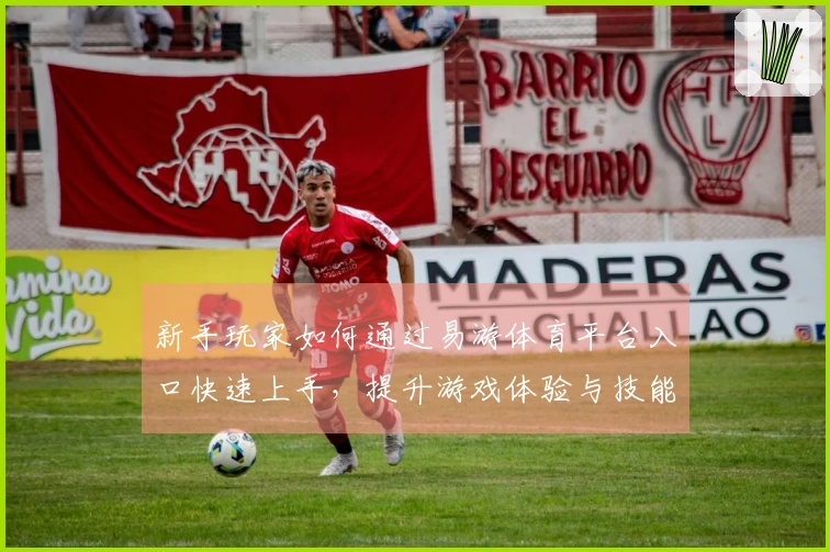 新手玩家如何通过易游体育平台入口快速上手，提升游戏体验与技能？