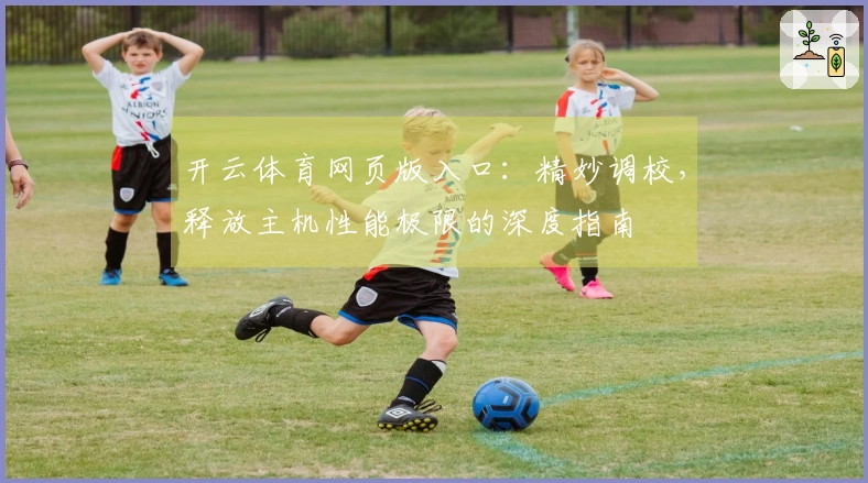 开云体育网页版入口：精妙调校，释放主机性能极限的深度指南